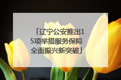 辽宁公安推出15项举措服务保障全面振兴新突破
