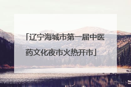 辽宁海城市第一届中医药文化夜市火热开市