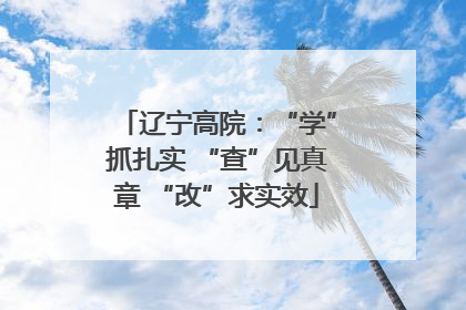 辽宁高院：“学”抓扎实 “查”见真章 “改”求实效