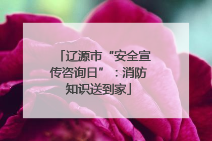 辽源市“安全宣传咨询日”：消防知识送到家