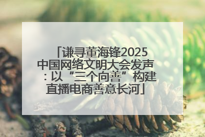 谦寻董海锋2025中国网络文明大会发声：以“三个向善”构建直播电商善意长河