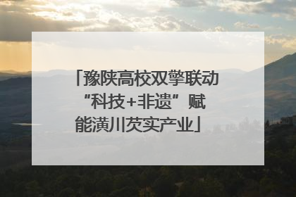 豫陕高校双擎联动 “科技+非遗”赋能潢川芡实产业