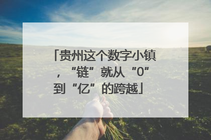 贵州这个数字小镇，“链”就从“0”到“亿”的跨越