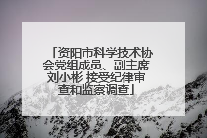 资阳市科学技术协会党组成员、副主席刘小彬 接受纪律审查和监察调查
