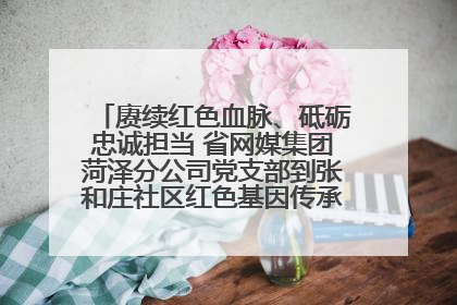赓续红色血脉、砥砺忠诚担当 省网媒集团菏泽分公司党支部到张和庄社区红色基因传承馆开展主题党日活动
