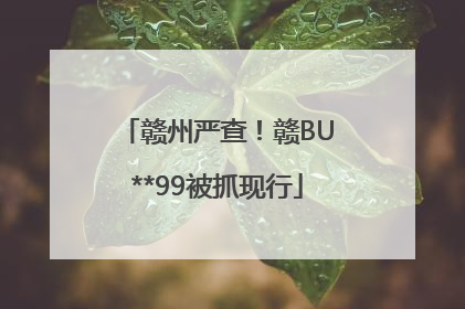 赣州严查！赣BU**99被抓现行