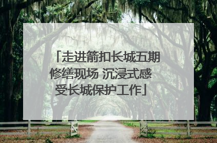走进箭扣长城五期修缮现场 沉浸式感受长城保护工作