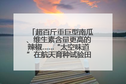 超百斤重巨型南瓜、维生素含量更高的辣椒……“太空味道”在航天育种试验田里拔节生长