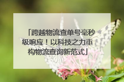 跨越物流查单号毫秒级响应！以科技之力重构物流查询新范式