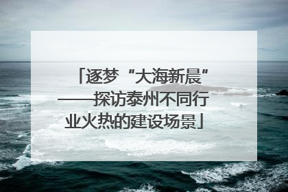 逐梦“大海新晨”——探访泰州不同行业火热的建设场景