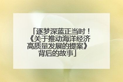 逐梦深蓝正当时！《关于推动海洋经济高质量发展的提案》背后的故事