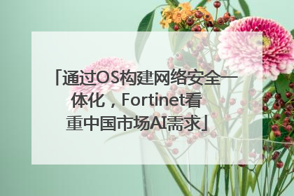 通过OS构建网络安全一体化，Fortinet看重中国市场AI需求