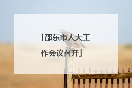 邵东市人大工作会议召开