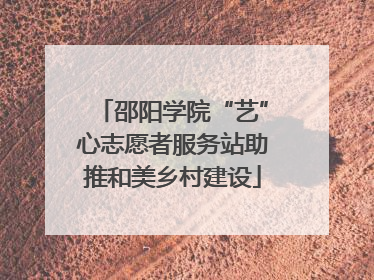邵阳学院“艺”心志愿者服务站助推和美乡村建设