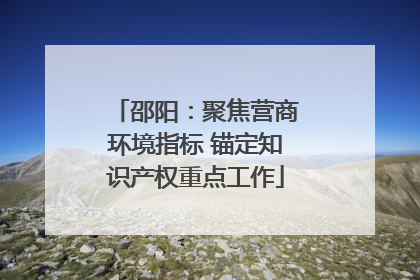 邵阳：聚焦营商环境指标 锚定知识产权重点工作
