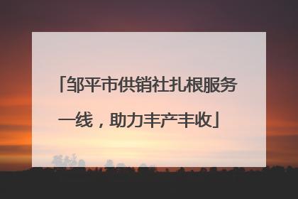 邹平市供销社扎根服务一线，助力丰产丰收
