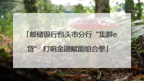 邮储银行包头市分行“集群e贷” 打响金融赋能组合拳