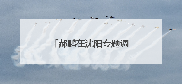 郝鹏在沈阳专题调研民营经济发展