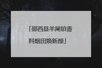 郧西县羊尾镇香料烟田焕新颜