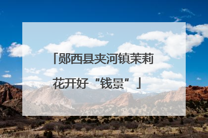 郧西县夹河镇茉莉花开好“钱景”