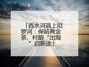 酉水河遇上尼罗河：保靖黄金茶、村厨“出海”启新途