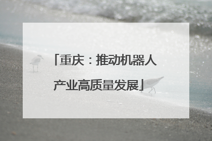 重庆：推动机器人产业高质量发展
