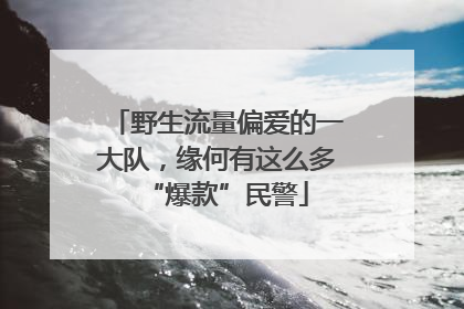 野生流量偏爱的一大队，缘何有这么多“爆款”民警