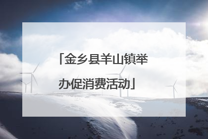 金乡县羊山镇举办促消费活动