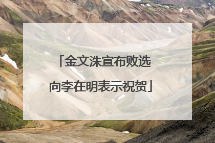 金文洙宣布败选 向李在明表示祝贺
