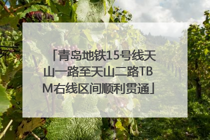 青岛地铁15号线天山一路至天山二路TBM右线区间顺利贯通
