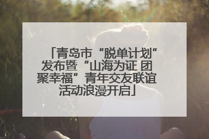 青岛市“脱单计划”发布暨“山海为证 团聚幸福”青年交友联谊活动浪漫开启