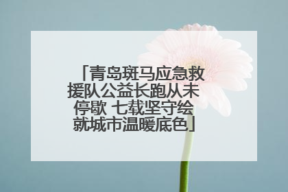 青岛斑马应急救援队公益长跑从未停歇 七载坚守绘就城市温暖底色