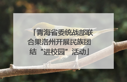 青海省委统战部联合果洛州开展民族团结“进校园”活动