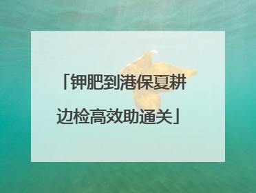 钾肥到港保夏耕 边检高效助通关