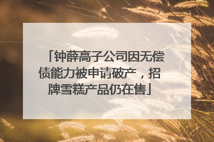 钟薛高子公司因无偿债能力被申请破产，招牌雪糕产品仍在售