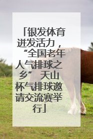 银发体育迸发活力，“全国老年人气排球之乡” 天山杯气排球邀请交流赛举行