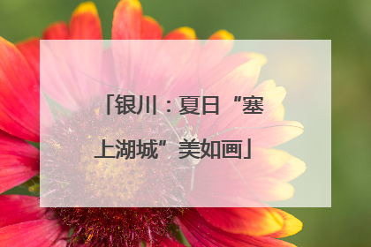 银川：夏日“塞上湖城”美如画