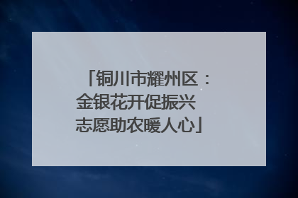 铜川市耀州区：金银花开促振兴 志愿助农暖人心