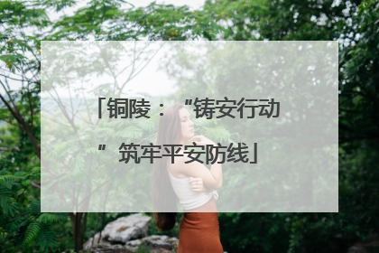 铜陵：“铸安行动”筑牢平安防线