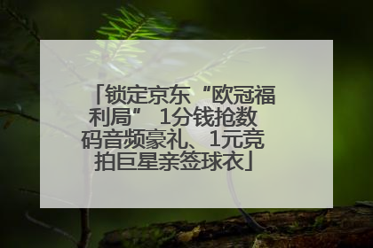 锁定京东“欧冠福利局” 1分钱抢数码音频豪礼、1元竞拍巨星亲签球衣