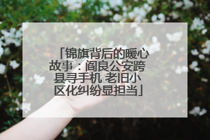 锦旗背后的暖心故事：阎良公安跨县寻手机 老旧小区化纠纷显担当