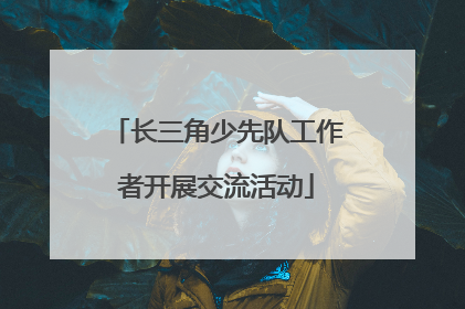 长三角少先队工作者开展交流活动