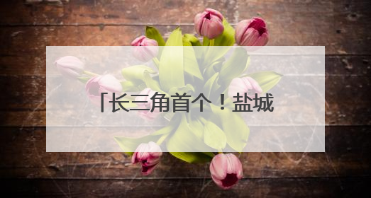 长三角首个！盐城数字视听产业基地集聚企业113家