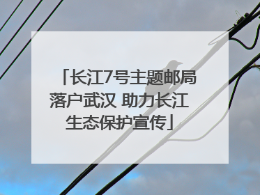 长江7号主题邮局落户武汉 助力长江生态保护宣传