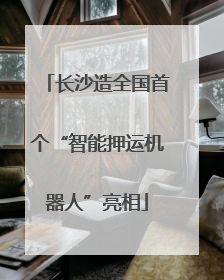 长沙造全国首个“智能押运机器人”亮相