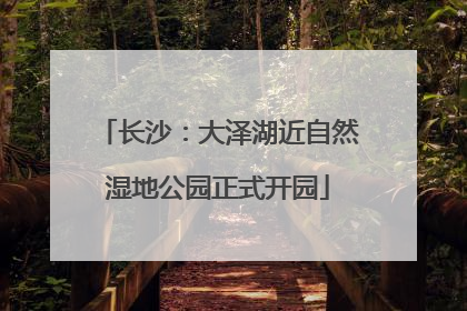 长沙：大泽湖近自然湿地公园正式开园