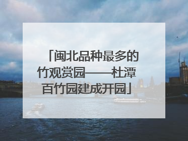 闽北品种最多的竹观赏园——杜潭百竹园建成开园