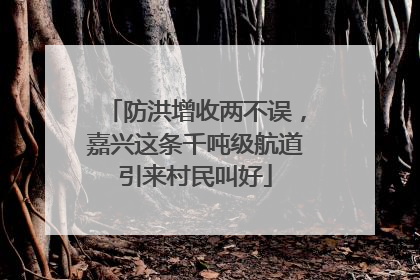 防洪增收两不误，嘉兴这条千吨级航道引来村民叫好