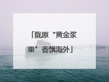 陇原“黄金浆果”香飘海外