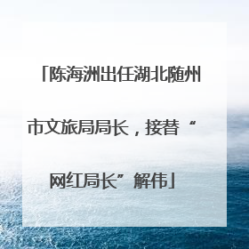 陈海洲出任湖北随州市文旅局局长，接替“网红局长”解伟